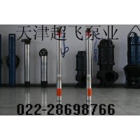 天津不銹鋼熱水潛水泵