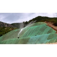 邊坡綠化防護 噴播植草工藝河南景繡