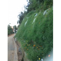 客土噴播植草 礦山修復項目河南景繡繪遠