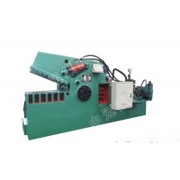 山東液壓鋼鐵剪切機