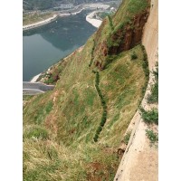 高速邊坡綠化 邊坡綠化客土法 液壓噴播植草護(hù)坡河南景繡