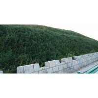 濕法噴播植草 液壓噴播植草 噴播植草護坡河南景繡