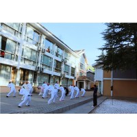 髓友匯易筋洗髓功詳述，“達摩易筋六式”的功效原理