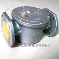 意大利朱麗安尼 70610F-6B-DN65燃氣過濾閥