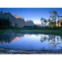 曝光,利德期權不正規,老師指導虧損內幕揭露