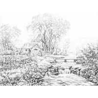 焦點(diǎn),股略通不正規(guī),虧損真相揭露