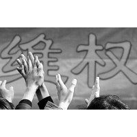 FORD平臺頻繁虧損正常？跟單倫敦金、A50爆倉這是個圈套？