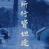 真相揭露！青島匯海大宗不正規！親身經歷講述受騙虧損真相