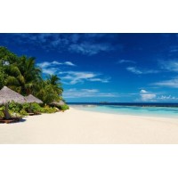 匯贏信息是正規平臺嗎？為何直播間老師喊單虧損慘重揭露虧損真相