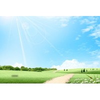 爆料盛世信創(chuàng)正規(guī)合法嗎？為何帶你做頻頻虧損，被騙了嗎