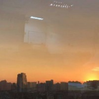 真相揭露！t-win不正規！親身經歷講述受騙虧損真相內幕