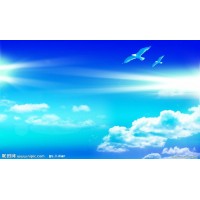 創(chuàng)投大師是正規(guī)的平臺嗎？被騙者揭開虧損真相