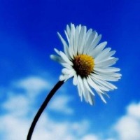 真相曝光貴州匯通盛世不正規！被騙虧損幾十萬內幕！本人親身經歷