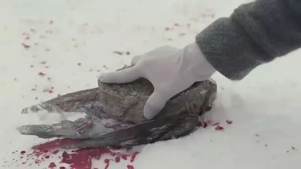 現實版孤兒怨VS電影版《孤兒怨》現實永遠比電影更恐怖,太嚇人了!