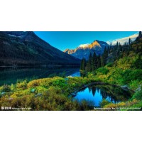 真相揭露！復利期權不正規虧損幾十萬恍然醒悟是場局！