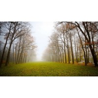 真相揭露易盈資訊不正規！騙局揭露坑我幾十萬事實真相！