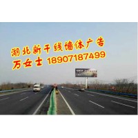 湖北武漢創意墻體店招廣告，湖北武漢戶外廣告牌安裝，武漢軍運會