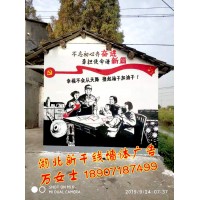 黃石鄉(xiāng)村文化墻彩繪、黃石3D畫(huà)立體地面彩繪、黃石店招墻體公司