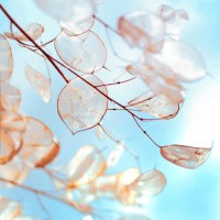 真相揭露UEX正規(guī)靠譜嗎？騙局揭秘坑我?guī)资f(wàn)!難友速來(lái)