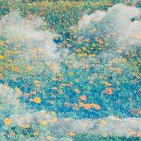 真相揭露昊龍國際不正規內幕！揭揭露騙局真相本人親身經歷告誡