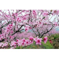 真相揭露長豐教育正規(guī)靠譜嗎？騙局揭秘坑我?guī)资f!難友速來