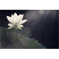 新紀元期貨騙局被騙虧損真相大揭秘,大家一定要小心！