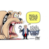 小財(cái)運(yùn)被騙虧損曝光，受害者親身慘痛經(jīng)歷一定要引以為戒啊