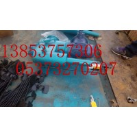 DYTP電動(dòng)液壓推桿 平行式電液推桿