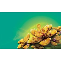 金文電子商務平臺不正規嗎？購買鉆石和田玉一夜虧損幾十萬