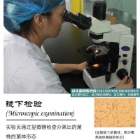 【酸菌OEM|一然生物】吉首|發酵劑牌子|優質供應