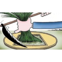 牛立方虧的凄慘無(wú)比自述虧損被騙內(nèi)幕!!