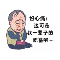 邁瑞思虛假融資融券？李國慶楊睿金鵬軍團竟是投資騙局？