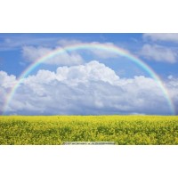 真相揭秘平和國際不正規(guī)!曝光被騙幾十萬真相!本人親身訴說