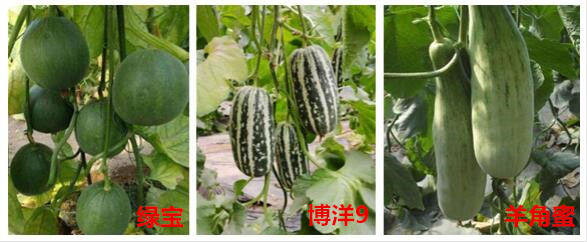 點擊打開原圖 QQ截圖20201105103031_副本