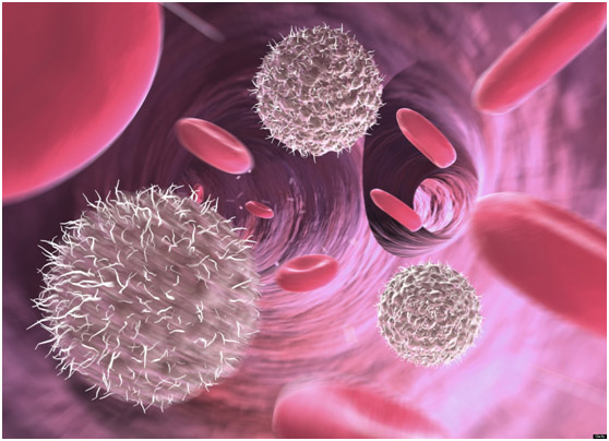 1537335347374267.jpg IMG_9147.JPG