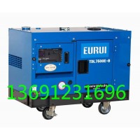進口柴油發(fā)電機TDL7500E-B