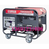 原裝日本進口東洋發電機TSN26000TE