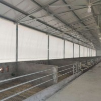 豬舍豬場卷簾布擋風保暖卷簾 養殖場牛場羊場卷簾布批發