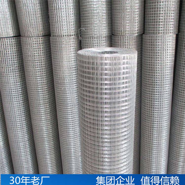 鐵絲網興來鋼結構鍍鋅電焊鐵絲網廠家直銷