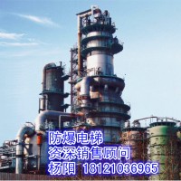 供應湖北省武漢市防爆電梯、煤氣柜電梯