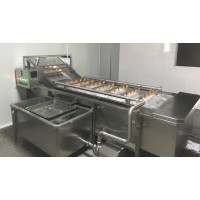 竹筍清洗機(jī)