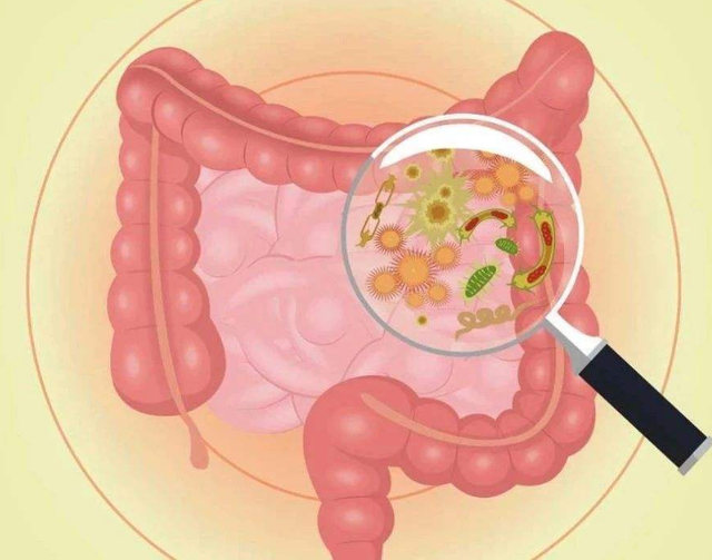 大便干硬排便困難怎么辦?大便前頭干硬后頭軟粘怎么回事