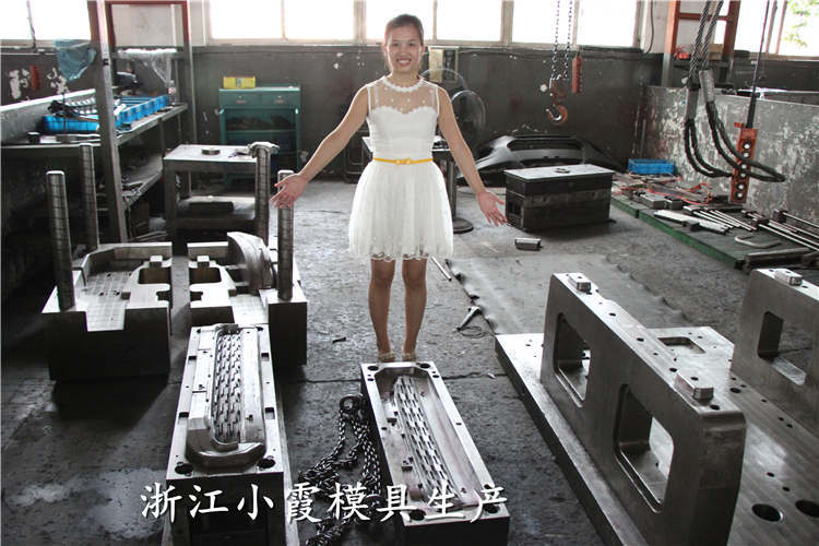 汽車(chē)模具 (12)