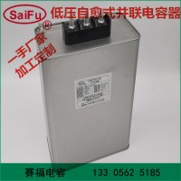 賽福廠家供應(yīng) 自愈式低壓并聯(lián)電容器 電力電容器