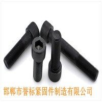 現(xiàn)貨供應(yīng)GB70.1高強(qiáng)度加長8.8級圓柱頭內(nèi)六角螺栓