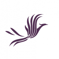 進(jìn)口66號全精煉石蠟