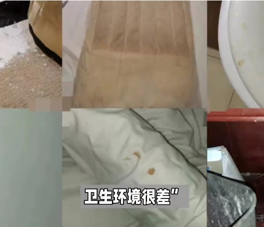 上海返鄉大學生被強制交高價隔離費，家鄉“溫暖”去哪了