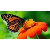 俄羅斯進口食品.中俄邊境商品.俄羅斯商品.中俄貿(mào)易.俄羅斯