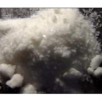 哪有賣(mài)N甲酸叔丁基酯去甲基 K他命