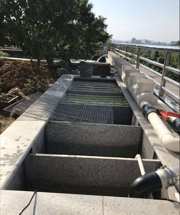 1671872012151742.png 10.png